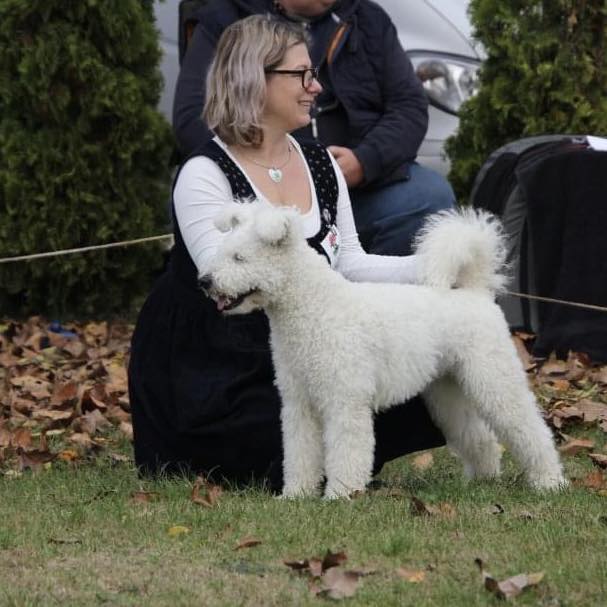 Emese Álma Cécó: HJCh, HCh, HSCh, HGCh